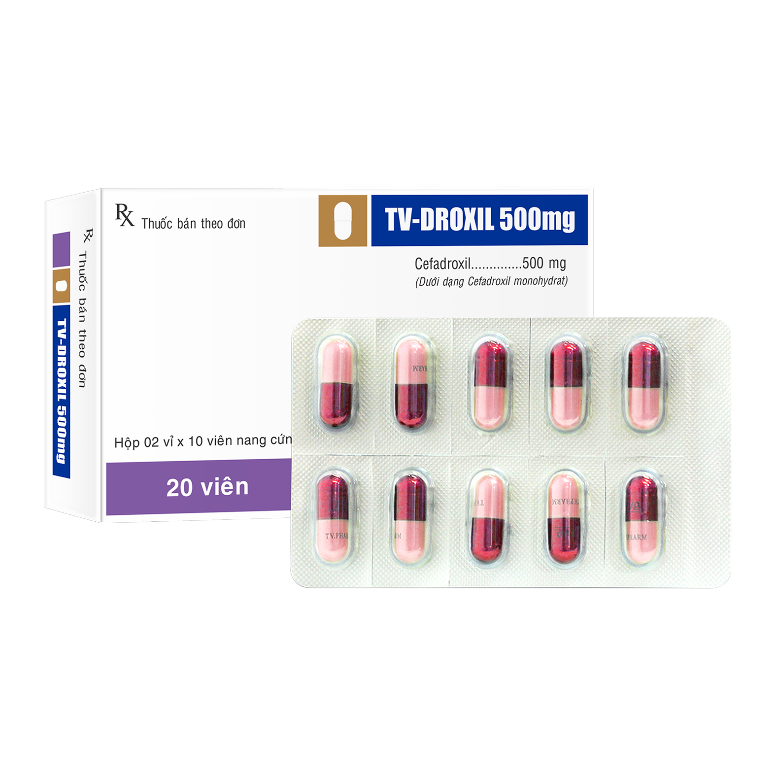 Viên nang cứng TV-Droxil  500 mg v/10,h/20